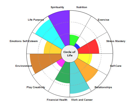 Life Areas Chart